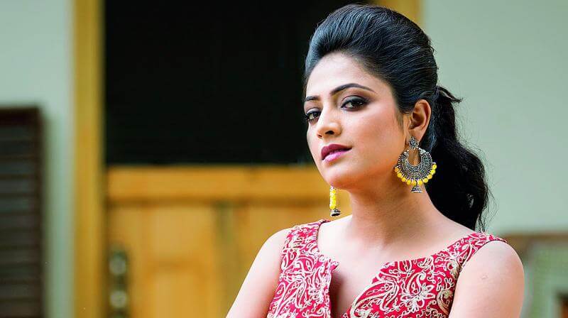 Top 10 Highest-Paid Kannada Actresses 10 Hariprriya