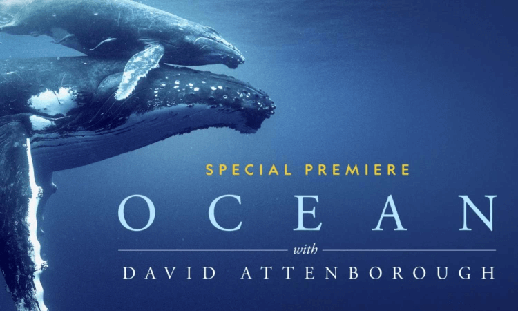 2025 Critics Choice Documentary Awards Winners List 5 Ocean With David Attenborough (National Geographic)