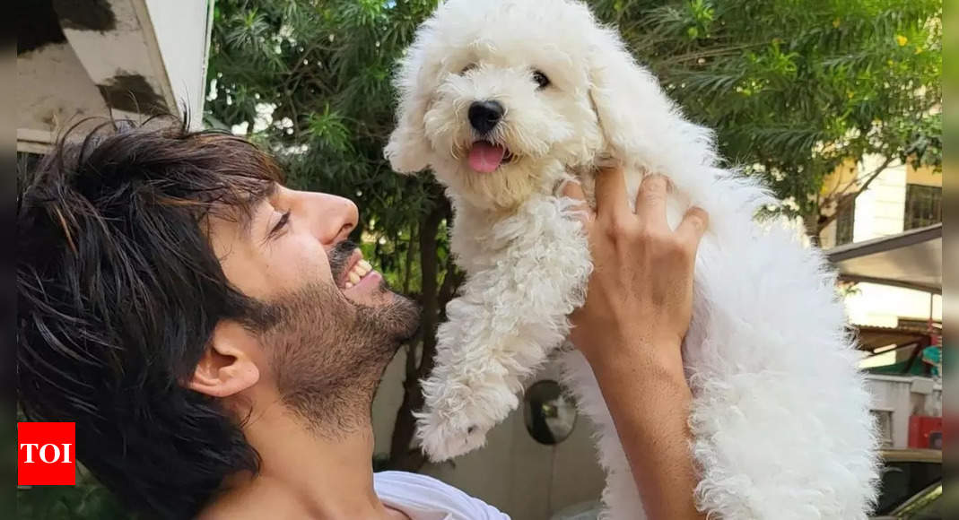 Kartik Aaryan’s Birthday Wish for Pet Dog Katori – Cutest Thing on Internet |